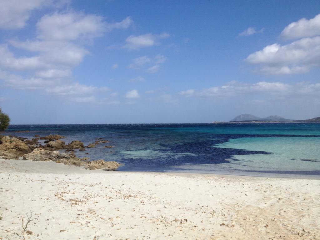 Luxury Apartment Sardegna Portisco Phòng bức ảnh
